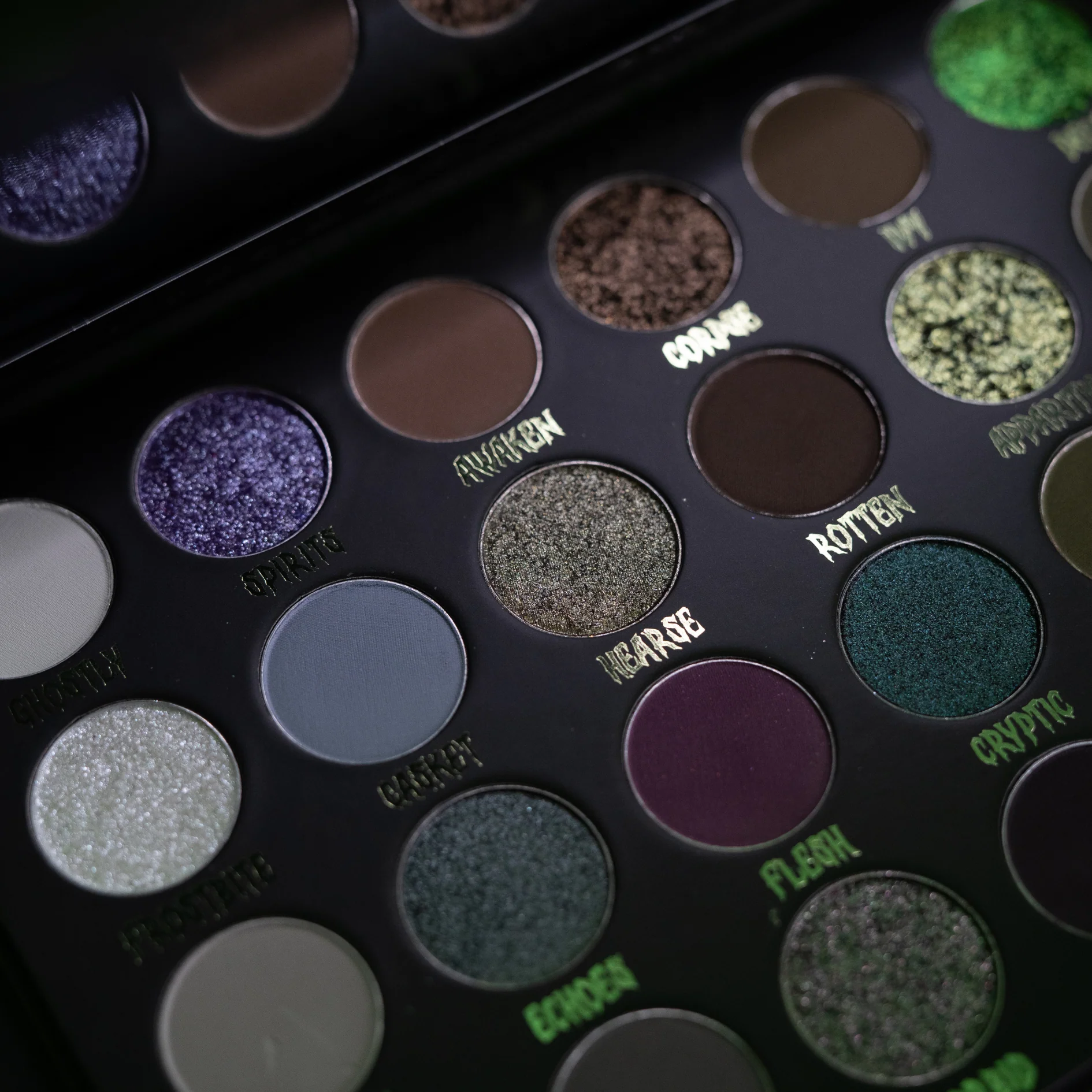 CRYPTIC PALETTE - Image 8