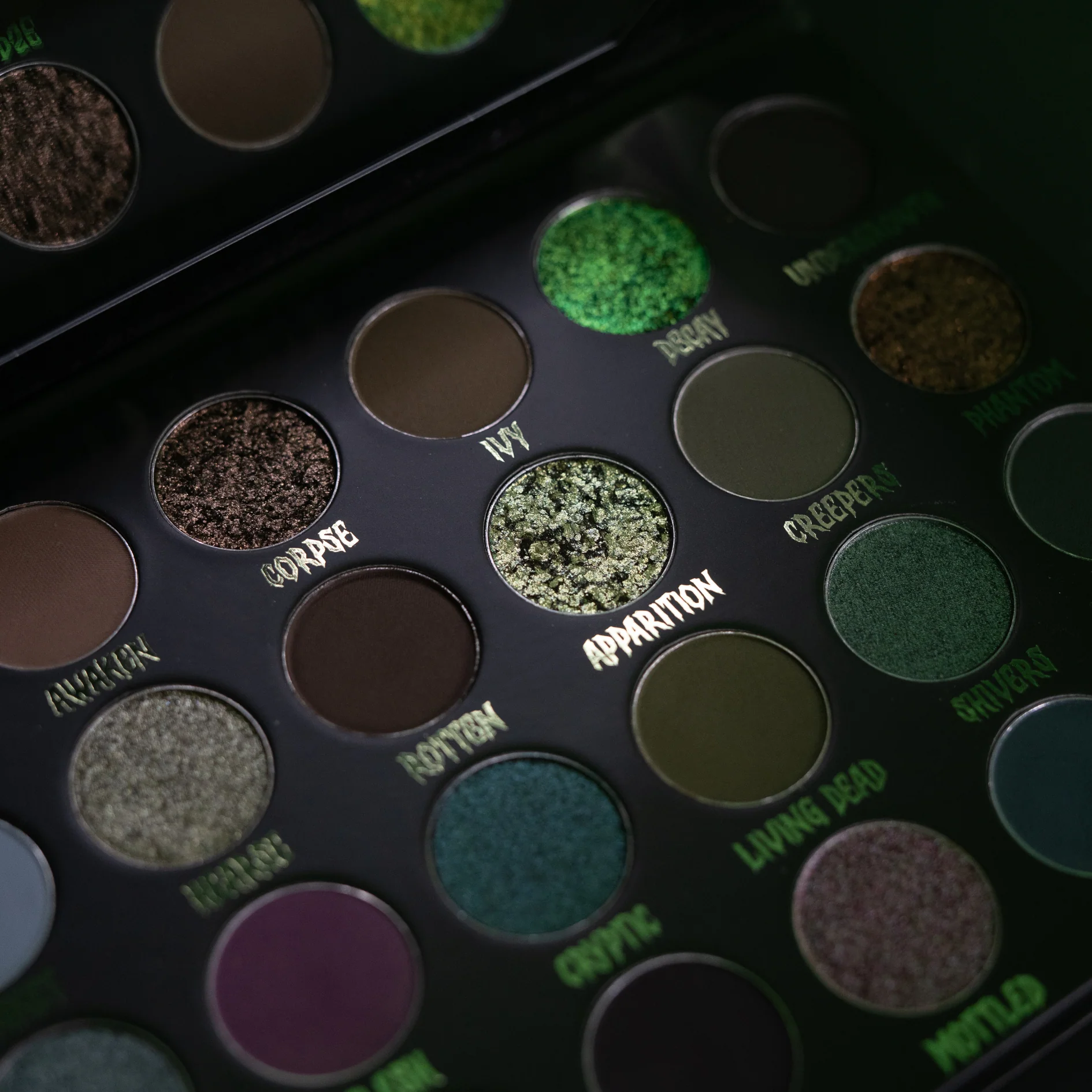 CRYPTIC PALETTE - Image 7