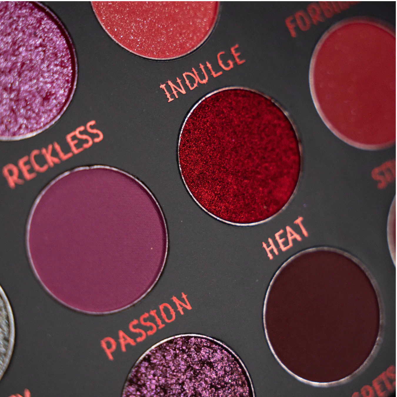 TAINTED PALETTE - Image 4